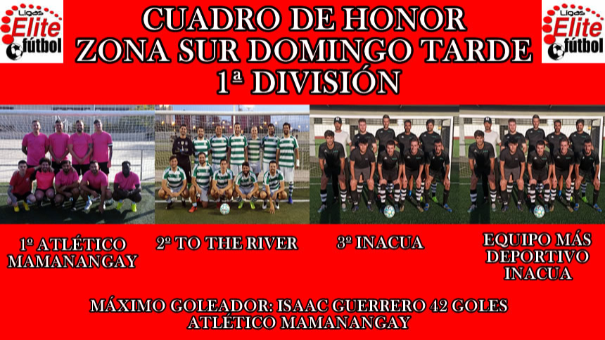 CUADRO DE HONOR ZONA SUR DOMINGO TARDE 1ª DIVISIÓN